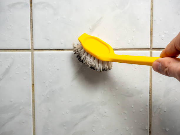 Best Best Mold Removal Companies  in Odenton, MD