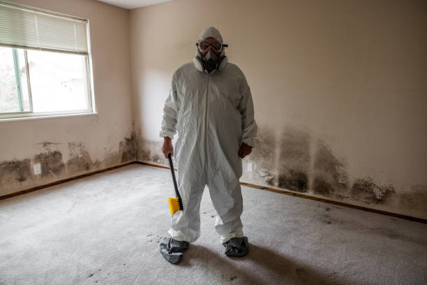 Best Commercial Mold Removal  in Odenton, MD